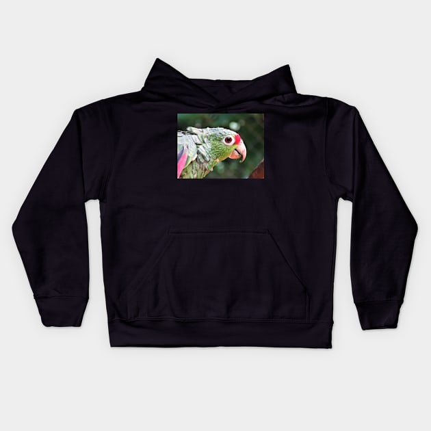 Green Parrot Photography Kids Hoodie by julyperson